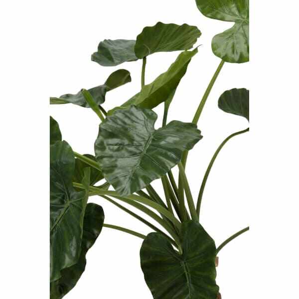 グローベン リフェイクグリーン 人工植物 樹木・屋内用 アロカシア 専用鉢付き A70TN133 
