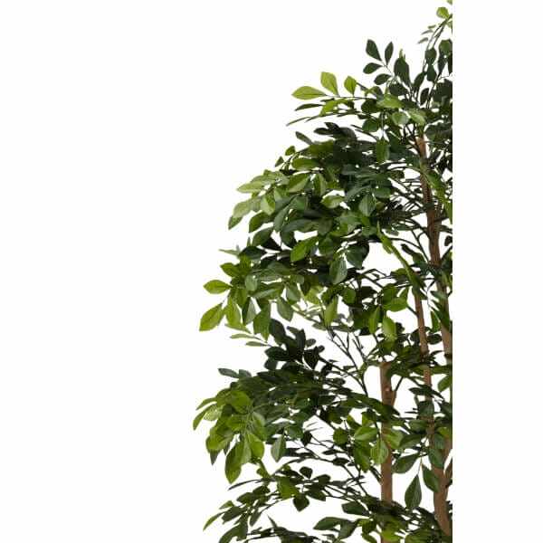 グローベン リフェイクグリーン 人工植物 樹木・屋内用 トネリコ H1800 専用土台付き 
