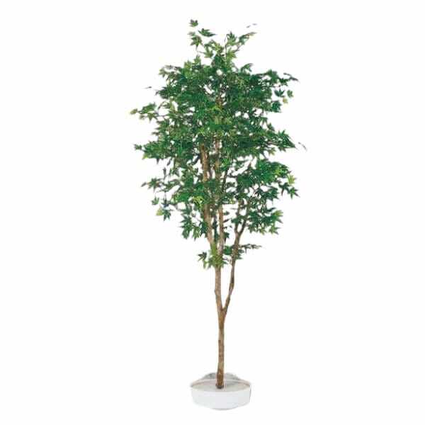 グローベン リフェイクグリーン 人工植物 樹木・屋内用 モミジ（グリーン） H1500 専用土台付き 