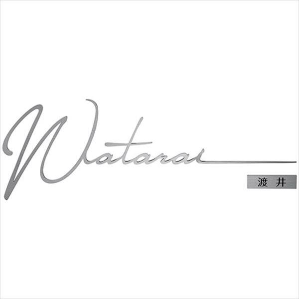 美濃クラフト スーパーステンレス 切文字 MGX-3 『表札 サイン 戸建』 