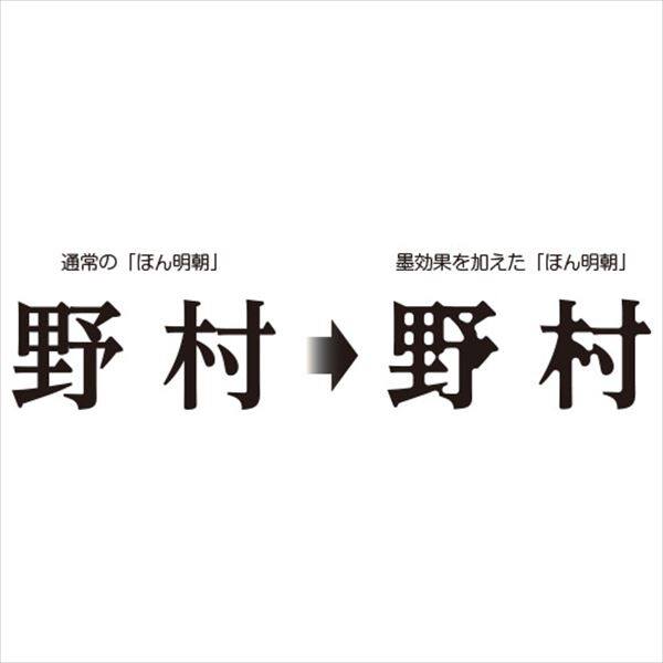 美濃クラフト 切文字 墨溜まり文字 XPS-1 1文字 『表札 サイン 戸建』 