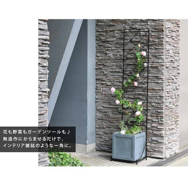Sスタイル　プランター台付フェンス　スリムタイプ　アーガイル　IF-FP017BLK　＃プランターは別売 ブラック