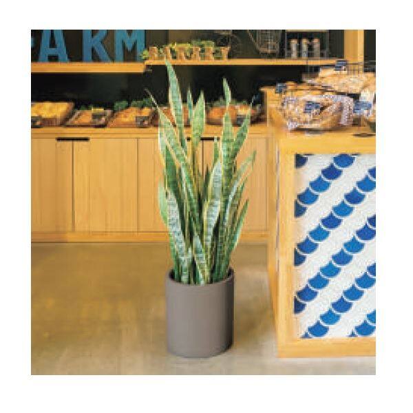 トーシン RITZ リッツ トール 35L GP-AN-PT4055CR クリーム