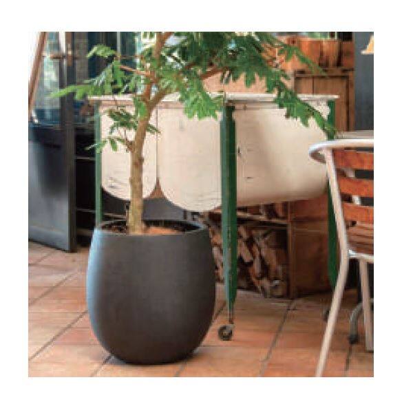 トーシン ARISTON アリストン ローバルーン ブラウン 22L GP-EB-TL4234AB 