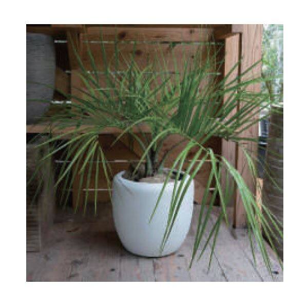 トーシン MIST ミスト ホワイト 30L GP-EB-KA4340WH 