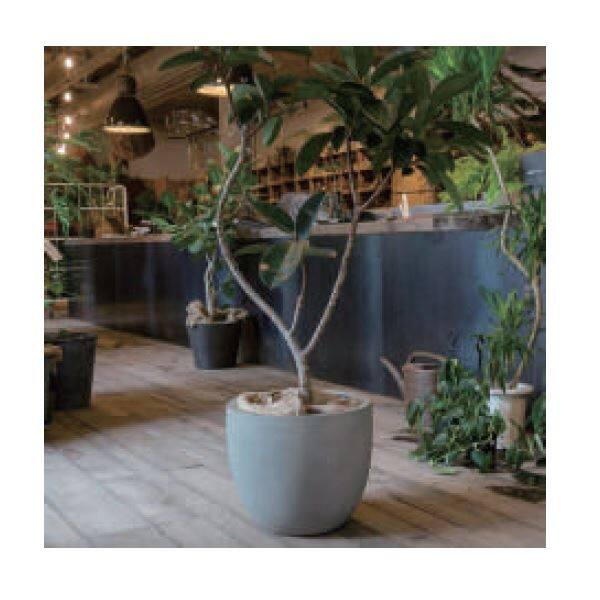 トーシン TRAIN 【個人宅不可】 トレーン キューブ 470L GP-EB-MC8080LG ライトグレー