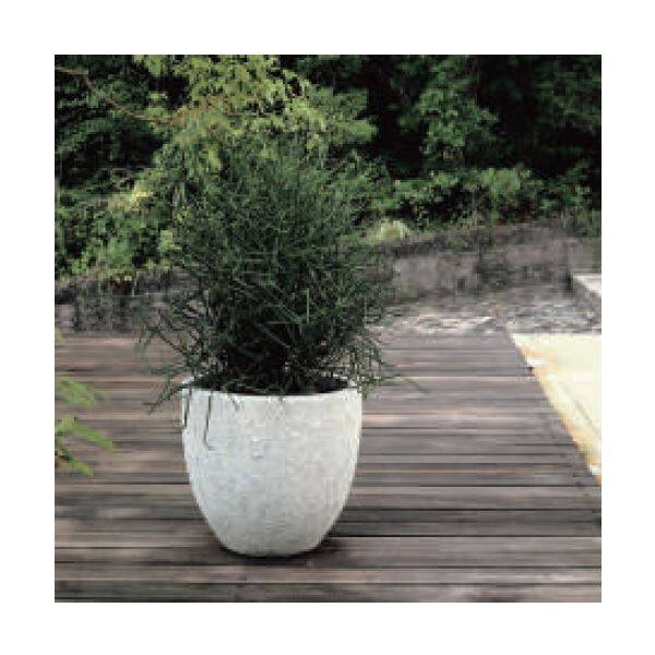 トーシン DOLMRAN ドルムラン トールラウンド Mホワイト 16L GP-EB-VO3341MW 