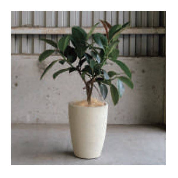 トーシン SALTUA ソルトア コニック ダークブラック 7L GP-EB-KC2533DB 