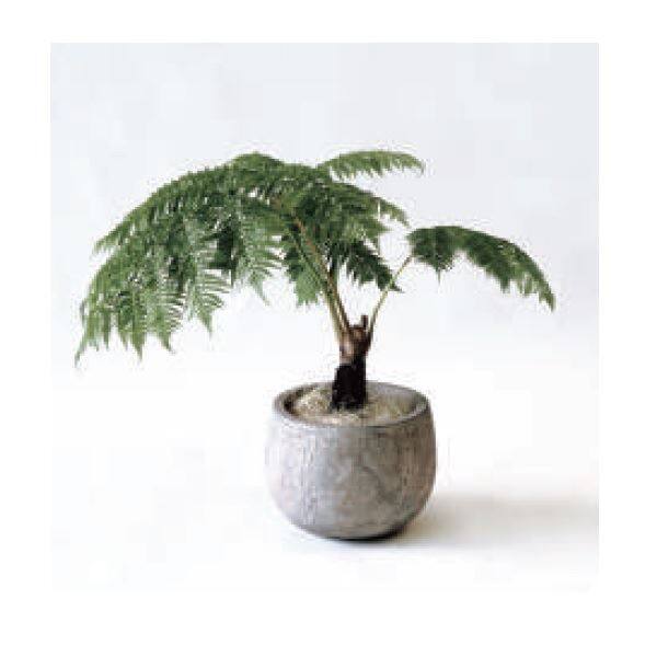 トーシン GASTEM ガステム バルーン アンティーク ブラック 8.2L GP-EB-FB3224AB 