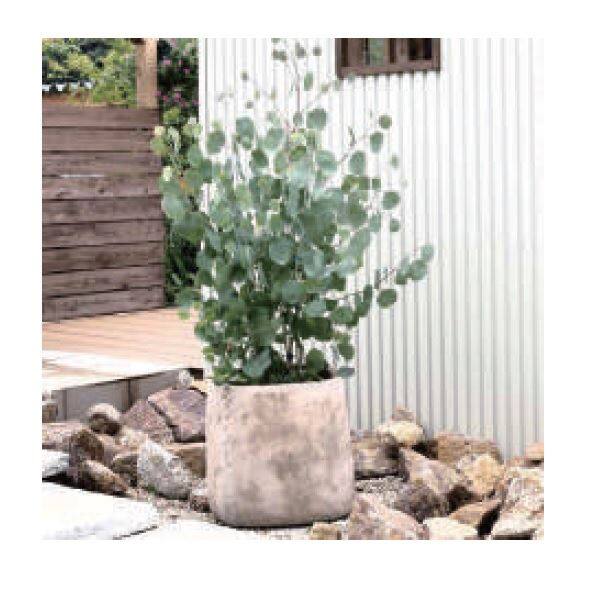 トーシン CORDO コルド アルトエッグ 34L GP-EB-T226043A 