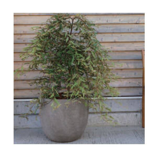 トーシン RAUM ラウム ローシリンダー 300L GP-EB-GC8061GY 