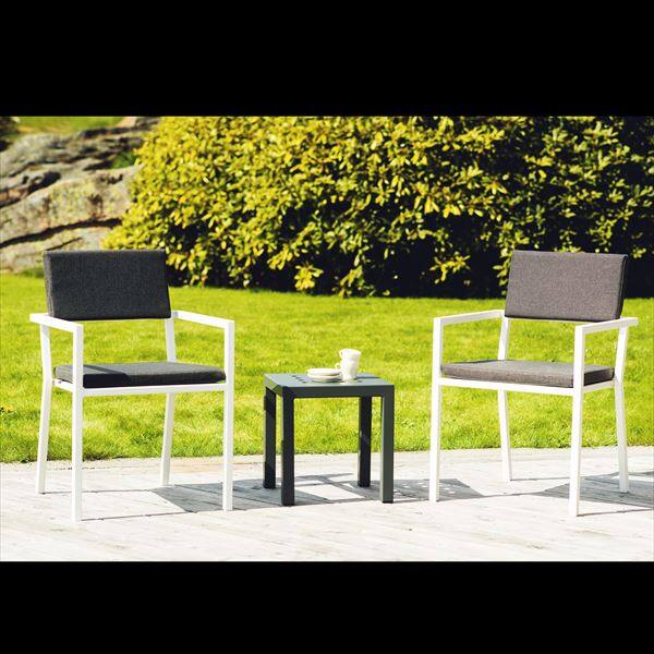 SUNDAYS フレームダイニング チェア クッション付 屋外用 ガーデンファニチャー ブラック／グリーン