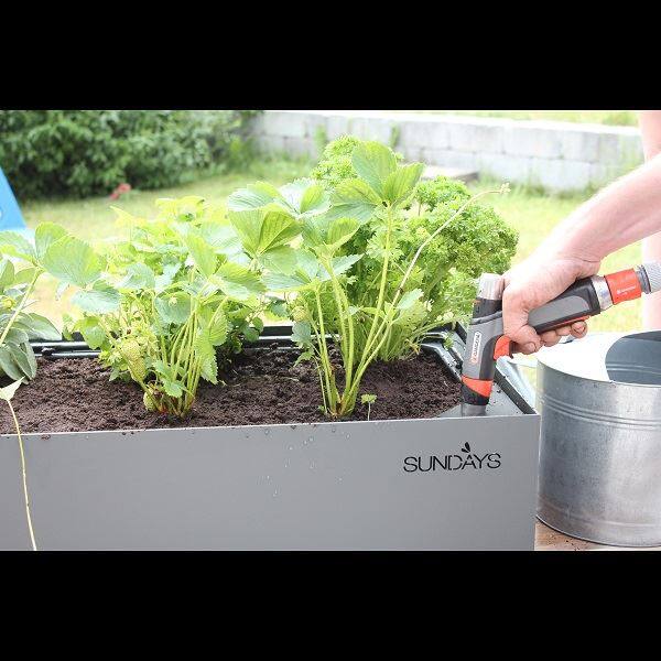 SUNDAYS フレームプランター FLAME PLANTER イエロー