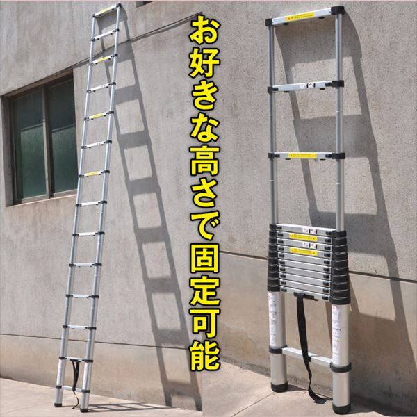 Hill Stone(ヒルストーン) 伸縮はしご 5.0m zk135 