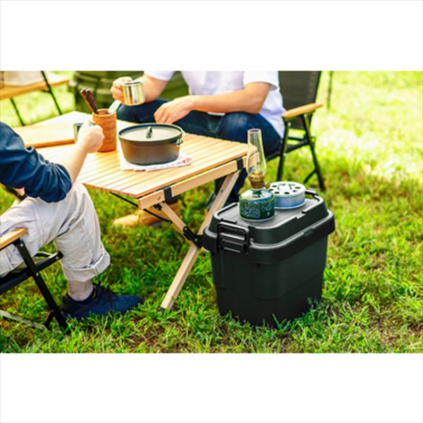 東谷  Light Furniture   トランクカーゴS蓋 30L   TC-30SBK ブラック