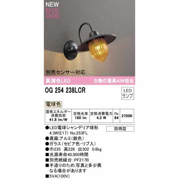 オーデリック ポーチライト R15 クラス2 #OG 254 238LCR 別売センサー対応 電球色 