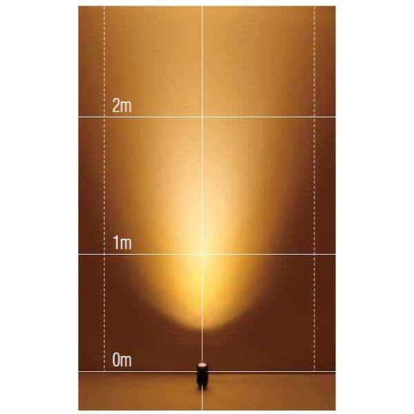 タカショー ガーデンアップライト ルーメック L 狭角 フランジタイプ HBB-D67C #70886400 12V用／24V用 『エクステリア照明 ガーデンライト』 チャコールグリーン