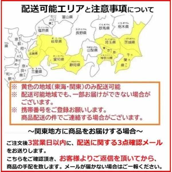 配送は東海・関東地方限定 イナバ物置 自転車置場 BYXタイプ 中央柱 直線屋根 BYX-33 8台収納 