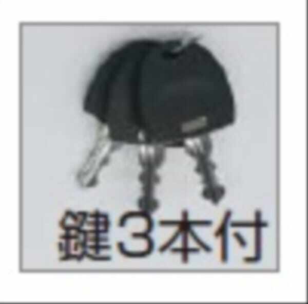 【法人様限定商品 個人宅・現場配送不可】四国化成 ゴミストッカー GWP1用 スペアキー（3本入）KEY-GS-A 『ゴミ収集庫』『ダストボックス ゴミステーション 屋外』 