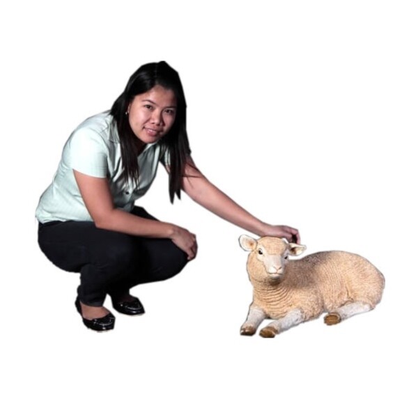 FRP くつろぐ子ひつじ / Merino LamB Resting fr110012 『動物園オブジェ アニマルオブジェ 店舗・イベント向け』 
