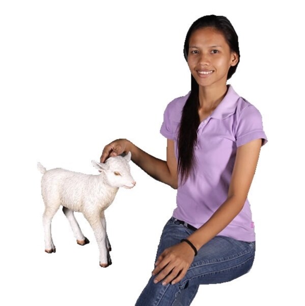FRP 立ち上がるヤギの赤ちゃん / Goat-Kid Standing fr130014『動物園オブジェ アニマルオブジェ 店舗・イベント向け』 