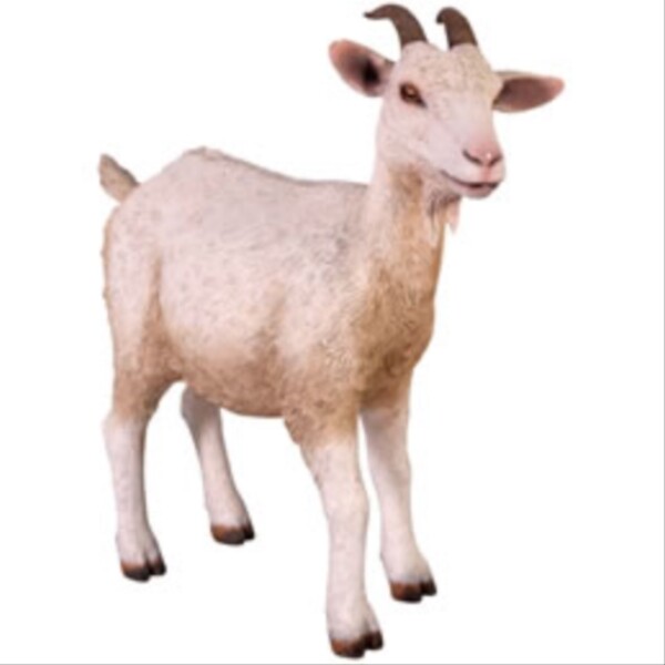 FRP 子やぎの挑戦 / Goat fr100044 『動物園オブジェ アニマルオブジェ 店舗・イベント向け』 