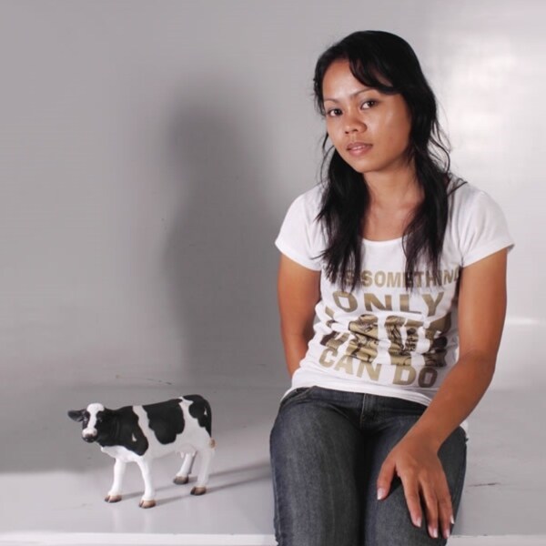 FRP 小さな牛 / Mini Cow fr090056 『動物園オブジェ アニマルオブジェ 店舗・イベント向け』 