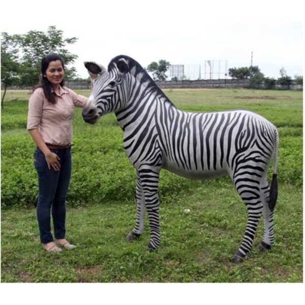 FRP シマウマ / ZeBra fr110075 『動物園オブジェ アニマルオブジェ 店舗・イベント向け』 