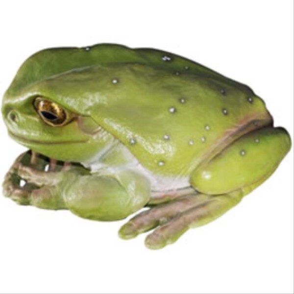 FRP でかいカエル / Frog JumBo fr090012 『カエルオブジェ アニマルオブジェ 店舗・イベント向け』 