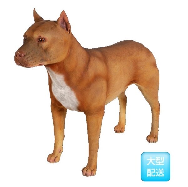 FRP ピットブル / PitBull fr130009 『犬オブジェ アニマル