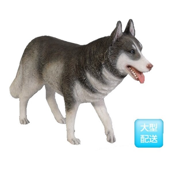 FRP シベリアンハスキー / SiBerian Husky fr120079 『犬オブジェ アニマルオブジェ 店舗・イベント向け』 
