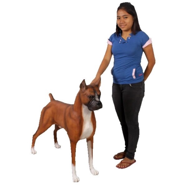 FRP ボクサー / Boxer fr110120 『犬オブジェ アニマルオブジェ 店舗・イベント向け』 