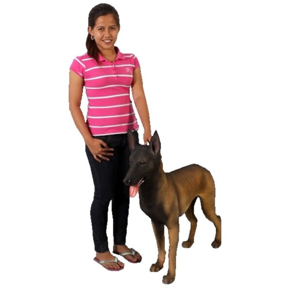 FRP ベルギー犬 / Belgian Malinois fr110127 『犬オブジェ アニマルオブジェ 店舗・イベント向け』 