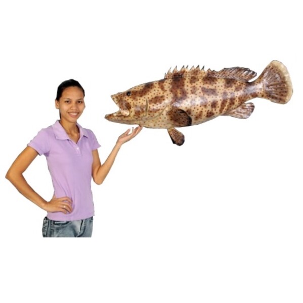 FRP ヤイトハタ / Estuary Cod fr120050 『水族館オブジェ アニマルオブジェ 店舗・イベント向け』 