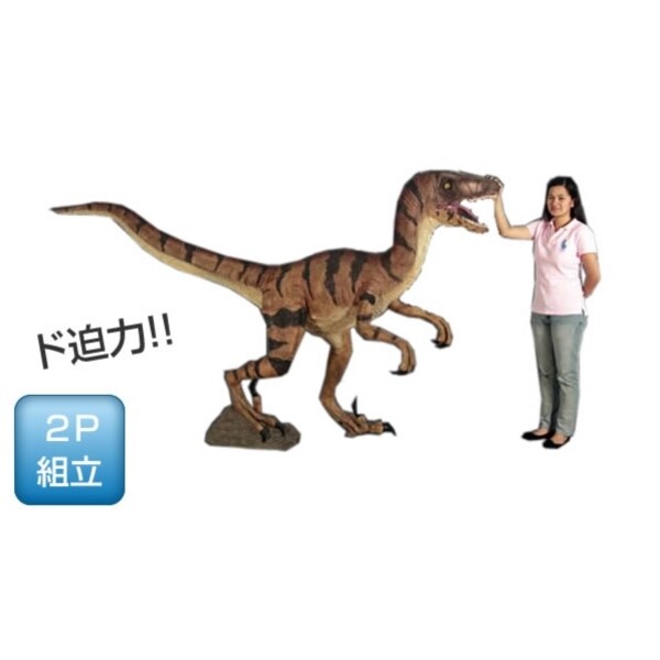 FRP ヴェロキラプトル / Velociraptor fr110015 『恐竜オブジェ 博物館オブジェ 店舗・イベント向け』 