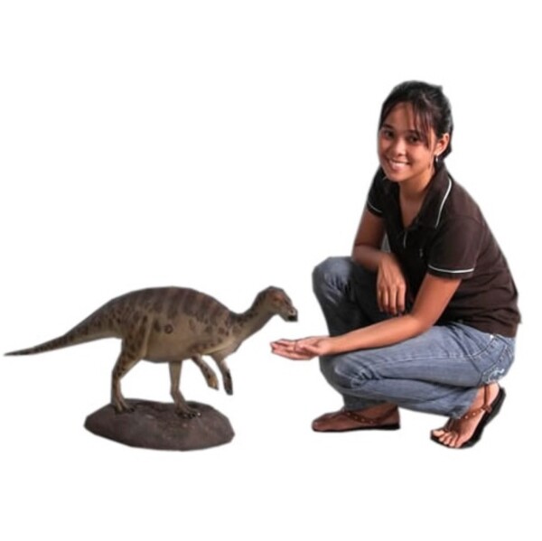 FRP ベイビーイグアノドン / BaBy Iguanodont fr100091 『恐竜オブジェ 博物館オブジェ 店舗・イベント向け』 