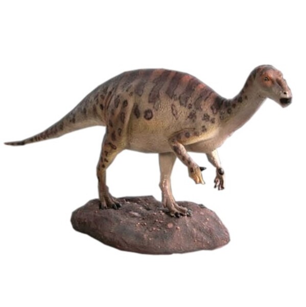 FRP ベイビーイグアノドン / BaBy Iguanodont fr100091 『恐竜オブジェ 博物館オブジェ 店舗・イベント向け』 