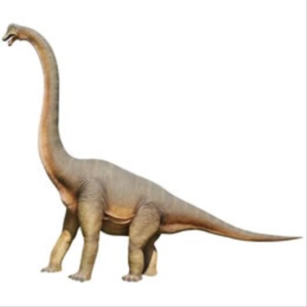 FRP 立ち向かうブラキオサウルス / Brachiosaurus fr100055 『恐竜オブジェ 博物館オブジェ 店舗・イベント向け』 