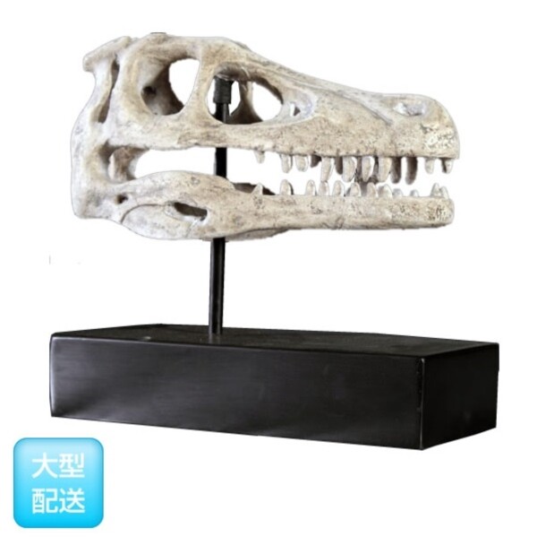 FRP ラプトルの頭骨 / Raptor Skull on Base fr1000503 『恐竜オブジェ 博物館オブジェ 店舗・イベント向け』 