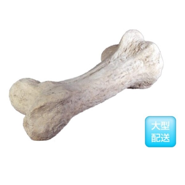 FRP 恐竜の骨 / Dinosaur Bone fr080129 『恐竜オブジェ 博物館オブジェ 店舗・イベント向け』 