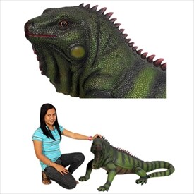 洋書 グリーンイグアナ IGUANAS QUARTERY