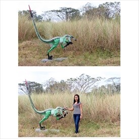 FRP 獰猛なヴェロキラプトル / Ferocious Velociraptor fr150024 『恐竜オブジェ 博物館オブジェ 店舗・イベント向け』 