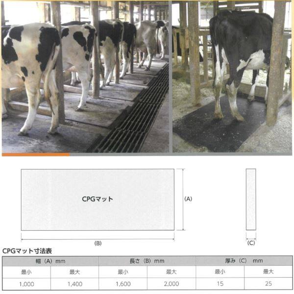 法人様限定 個人宅配送不可 魚瀬ゴム CPGマット 10×1000×2000 （1枚） 