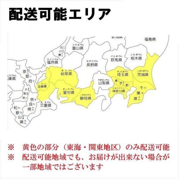 『配送は関東・東海限定』 リクシル タイルデッキ ステップ無し 間口：3000mm×出幅：1200mm 基礎束柱Aセット 