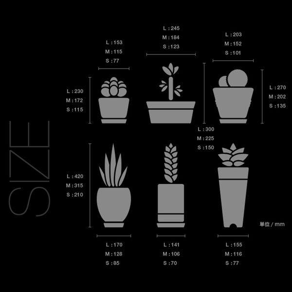 東京ステッカー 高級ウォールステッカー 植物 多肉植物 Mサイズ ＊TS0024-EM グレー 『おしゃれ かわいい』 『壁 シール』 