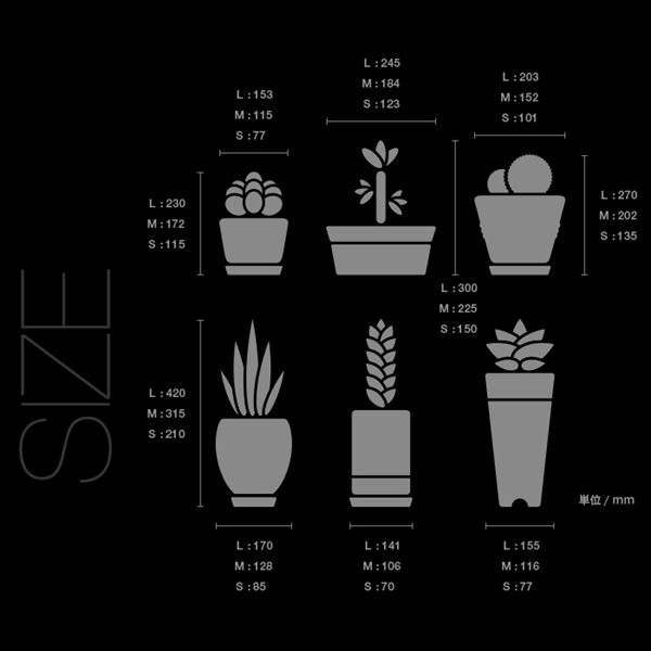 東京ステッカー 高級ウォールステッカー 植物 多肉植物 Lサイズ ＊TS0024-DL ブラウン 『おしゃれ かわいい』 『壁 シール』 