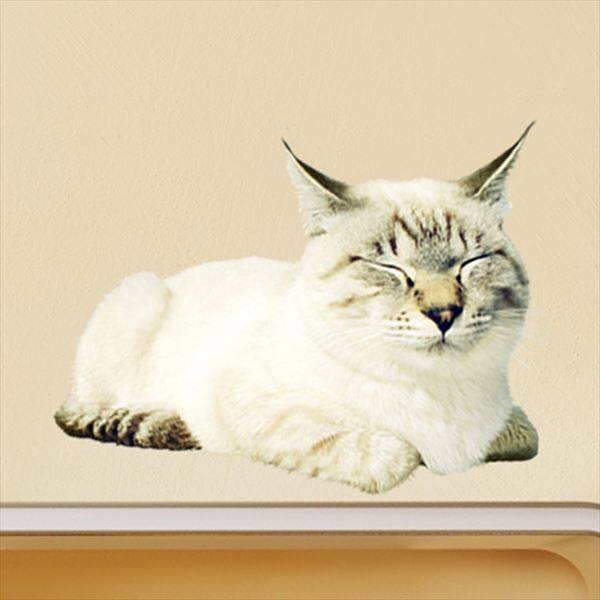 猫田 らむ 絵日記つけてます | . お風呂屋さんに行ってきた^_