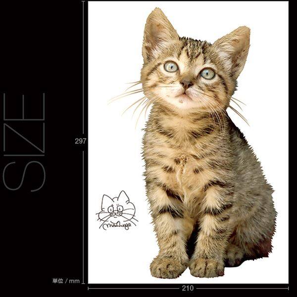 猫 Amazon | 日本メーカー RAKU 猫タワー 木製キャットタワー
