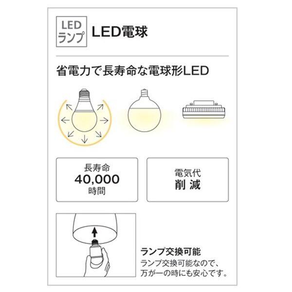 オーデリック ポーチライト # OG 254 028LCR 