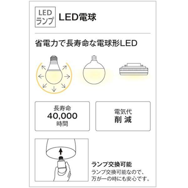 オーデリック ポーチライト # OG 254 600LD 電球色 